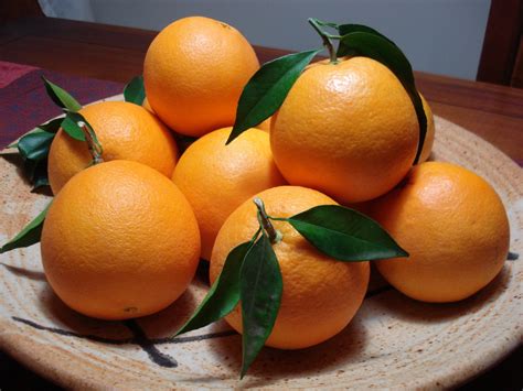 Not Hemingway's Spain: Eating in Season: Valencia Oranges!