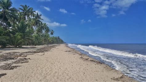 Palomino beach - Colombia | Beach, Outdoor, Colombia