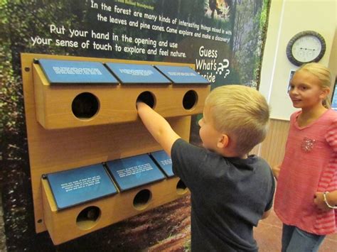 South Toledo Bend State Park | Childrens museum ideas, Interactive ...