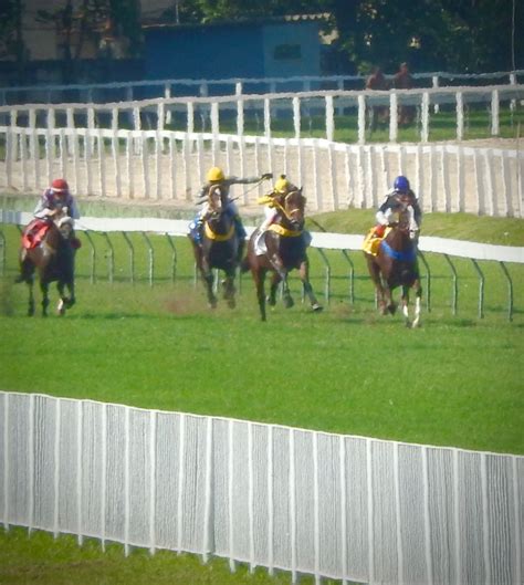 Jockey Club Rio | A Lazy Sunday in Rio de Janeiro