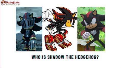 Who Is Shadow The Hedgehog? - Hedgehog facts, care and FAQs icon