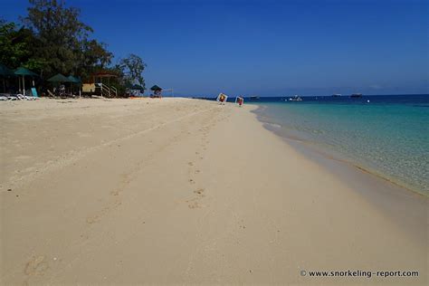 Snorkeling in Green Island | Snorkeling the Great Barrier Reef, Australia