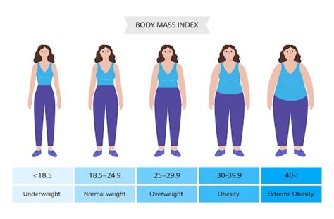 Premium Vector | Body mass index woman