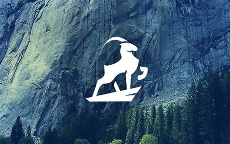 IBEX – Logo Design on Inspirationde