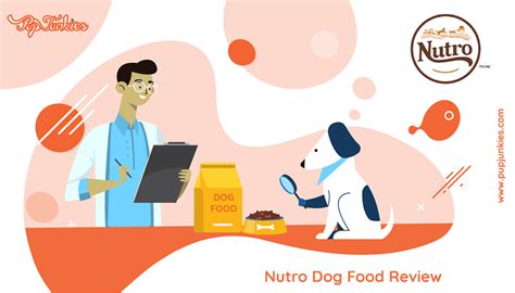 Nutro Dog Food Review 2025 - Pup Junkies