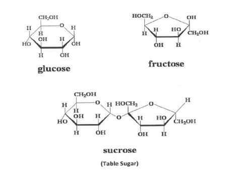 Glucose Versus Fructose Five Things To Know | MyLifeYoga