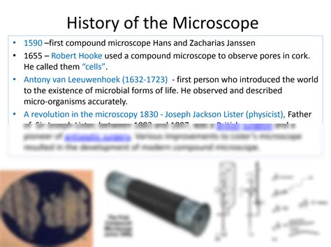 SOLUTION: microscope and gram staining - Studypool