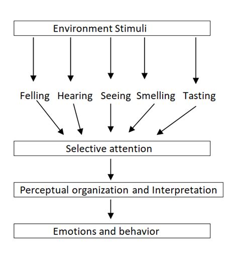 Perception || Perception, Personality and Learning