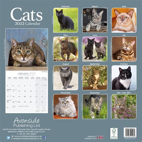 Cat Wall Calendars 2024 - Image to u