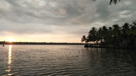 Top thing to do in Kayamkulam Lake (2024) | All about Kayamkulam Lake, Alleppey, Kerala