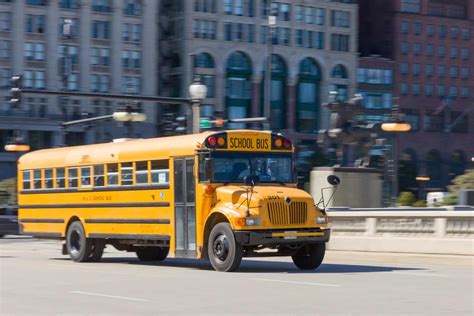 Cabra fábrica Duque camiones de transporte escolar desconectado Senado ...