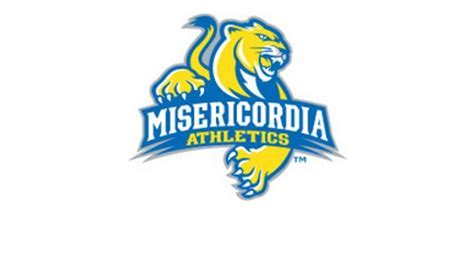 Misericordia Logos