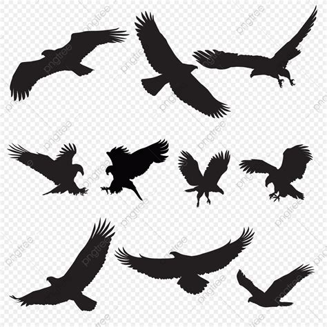 Bald Eagle Flying Silhouette PNG Free, Eagle Silhouette Flying Bird Silhouette, Bird, Silhouette ...