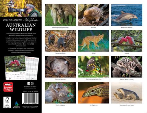 Australian Wildlife - Steve Parish - 2023 Wall Calendar, 2023 Wall Calendars by Browntrout ...