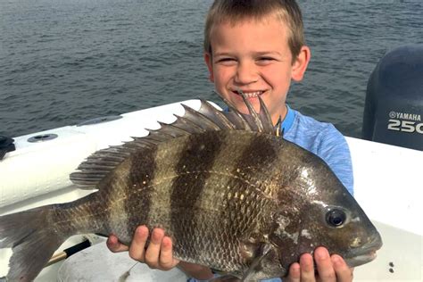 Sheepshead Fishing: All You Need to Know (Updated 2023)