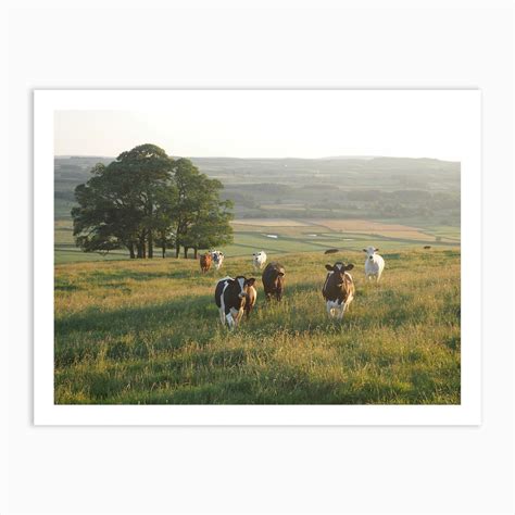 Sunset Cow Field Art Print by Willow Home & Co - Fy