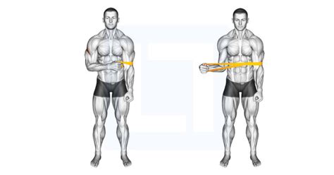 Resistance Band External Rotation - Guide, Benefits, and Form