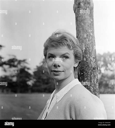 24 year old actress Jill Bennett. 12th August 1955 Stock Photo - Alamy