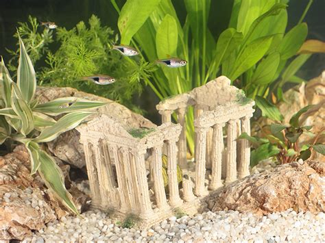 How to clean dirty aquarium ornaments - Pond Aquarium Problem Solver