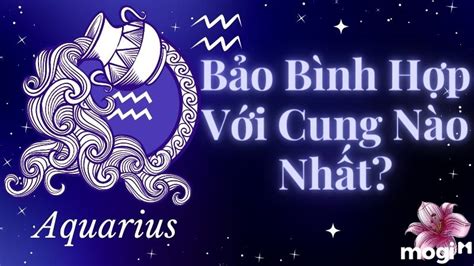 Bảo Bình Hợp Với Cung Nào? Dấu Hiệu Bảo Bình Thích Ai Đó