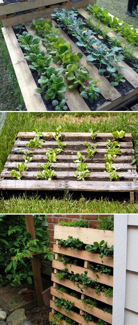 pallet as a garden bed - Alternative Green World