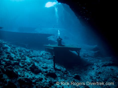 Diving the Blue Grotto, Florida- a taste of cavern diving. – Diver Trek