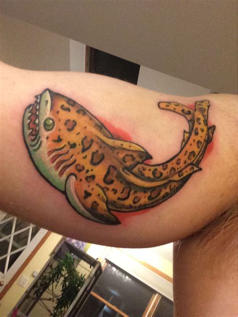 jaguar shark tattoo life aquatic | Life tattoos, Shark tattoos, Tattoos