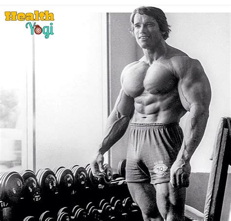 Arnold Schwarzenegger Workout Routine | Train A Like A Arnold - Health Yogi