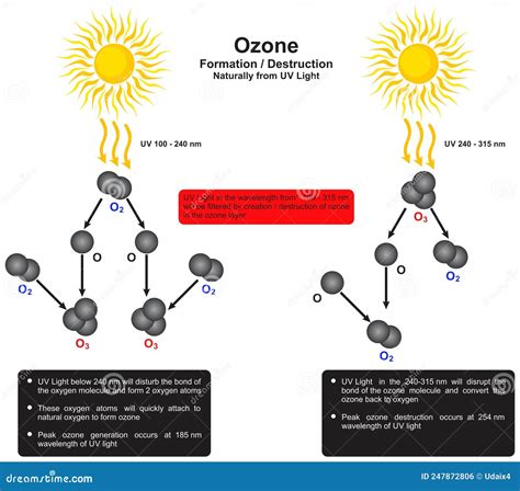 Ozone Formation Destruction Naturally from UV Light Infographic Diagram ...