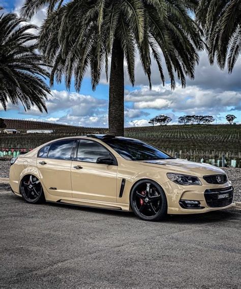 Holden commodore ss – Artofit