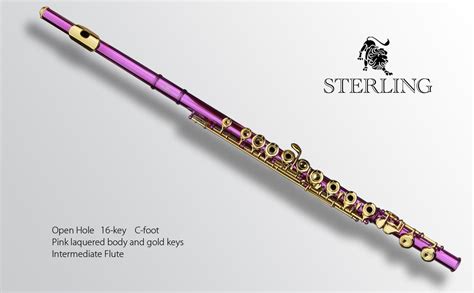 Pink and Gold OHC Flute • STERLING Open Hole C Flute • 16 keys • Brand New • | eBay