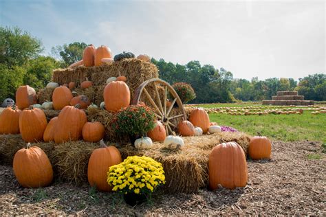 Pumpkin Patches & Fall Activities - Windermere/North