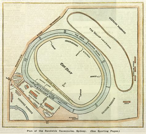 Plan of Randwick Racecourse, Sydney. - Antique Print Map Room