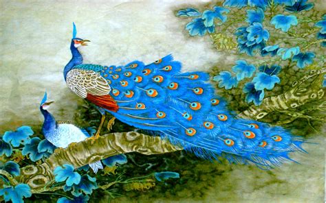 Wallpaper Peacock (63+ images)