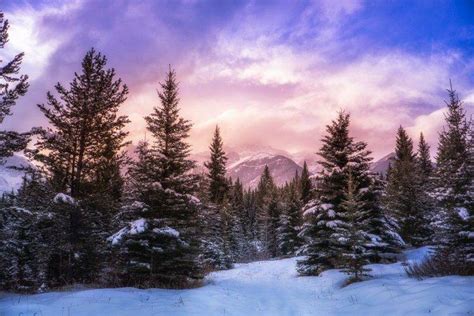 nature, Landscape, Forest, Winter, Mountain, Clouds, Snow, Pine Trees, Alberta, Canada, Sunlight ...