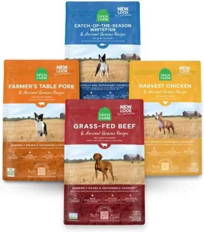 The Best Dry Dog Food Brands 2023 DogFoodAdvisor