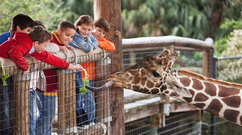 The Best Zoos in America - 24/7 Wall St.