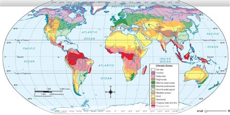 Rainforest Climate (Tropical Evergreen Climate) | PMF IAS