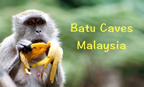 Batu Caves and Cheeky Monkeys - Video