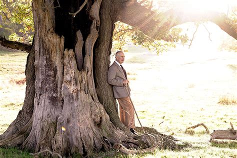 King Charles Poses For 74th Birthday Portrait, His 1st As Monarch ...