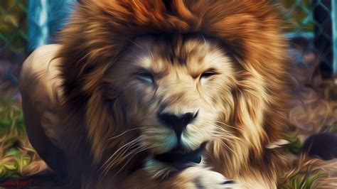 LION Full HD Wallpaper and Background Image | 1920x1080 | ID:441746