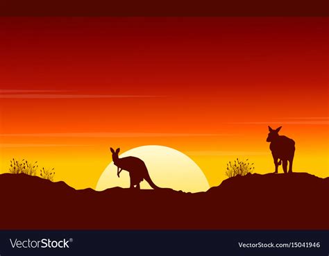 Collection kangaroo at sunset silhouette scenery Vector Image