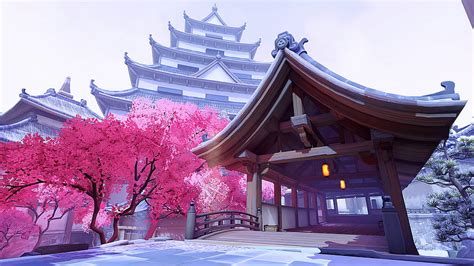 Cherry Blossom, Chinese Cherry Blossom HD wallpaper | Pxfuel