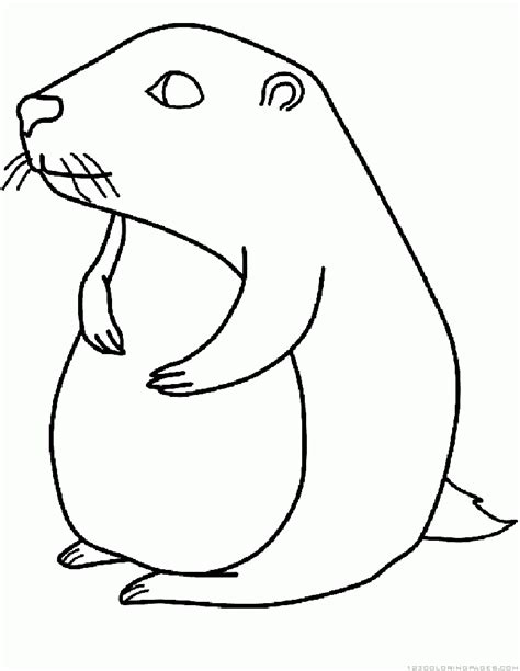 Groundhog/woodchuck Coloring Pages - Coloring Home