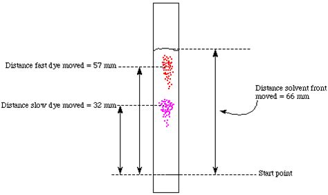 Chromatography Solvent Front Definition