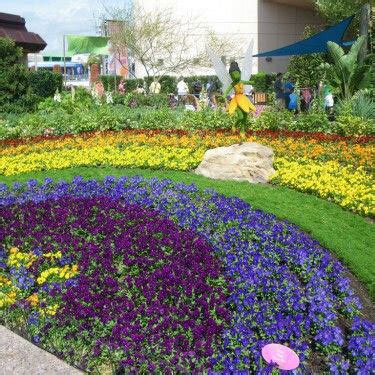 Plant a Pride Rainbow Garden! — Seattle's Favorite Garden Store Since 1924 - Swansons Nursery