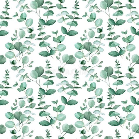 Seamless Pattern with Watercolor Eucalyptus Leaves on a White ...