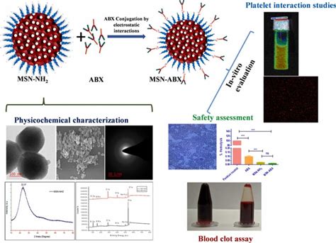 Efficient delivery of abciximab using mesoporous silica nanoparticles: in-vitro assessment for ...