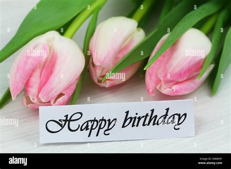 Happy birthday card with pink tulips Stock Photo - Alamy