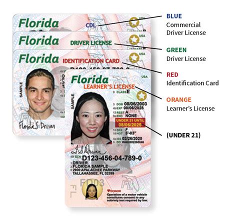 Florida's NEW Driver License and ID Card - Florida Department of Highway Safety and Motor Vehicles